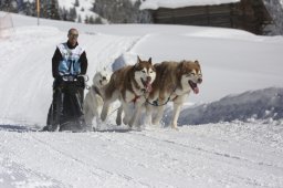 Kandersteg 2013